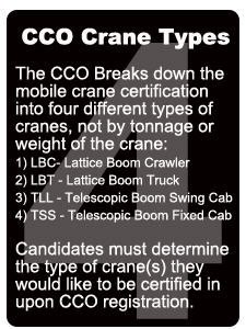 4-types-of-cranes